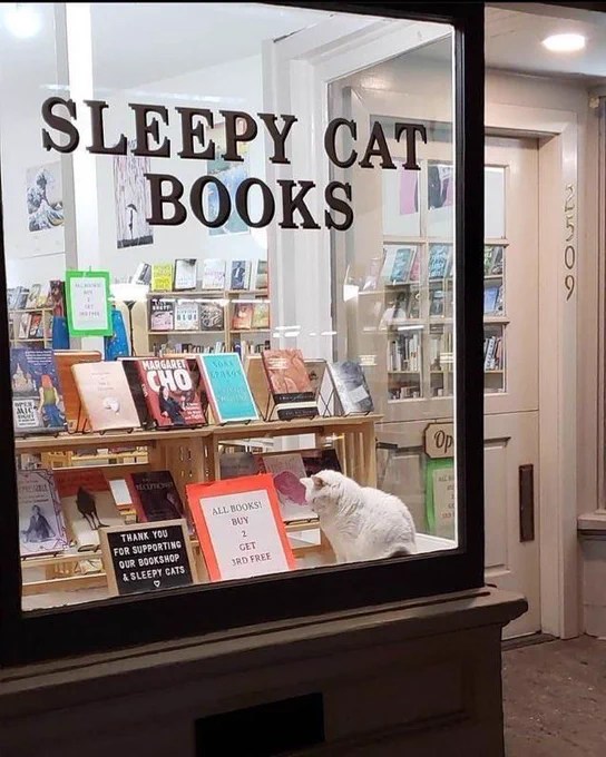 A sleepy cat in a shop window which reads: sleepy cat books.