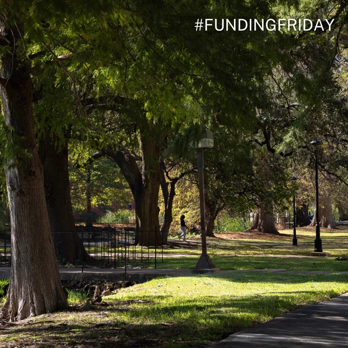 A sunlit park scene with large trees casting shadows over a grassy area and a person walking in the distance near a pathway.