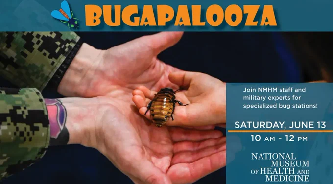 Close-up of hands holding a large Madagascar hissing cockroach at a bug-themed event called Bugapalooza.