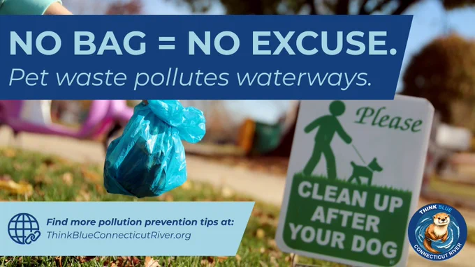 Graphic showing a bag of pet waste being carried near a sign that reads “Please Clean Up After Your Dog.” Text states: “NO BAG = NO EXCUSE. Pet waste pollutes waterways.” The Think Blue Connecticut River logo and website are included.