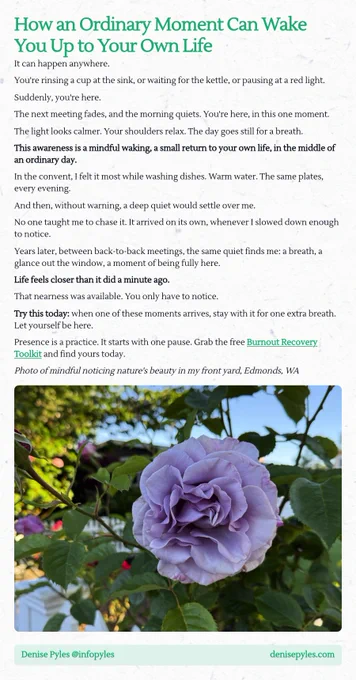 A screenshot essay titled 'How an Ordinary Moment Can Wake You Up to Your Own Life', discussing the importance of mindfulness and being present in everyday moments. The text describes how simple activities, like washing dishes or pausing at a red light, can lead to a mindful awakening and a connection to one's own life. It emphasizes the value of noticing these moments and offers a suggestion to linger in them for an extra breath. The essay includes a mention of a free Burnout Recovery Toolkit, inviting readers to practice presence. A note indicates that there is a photo related to the theme, taken in Edmonds, WA.