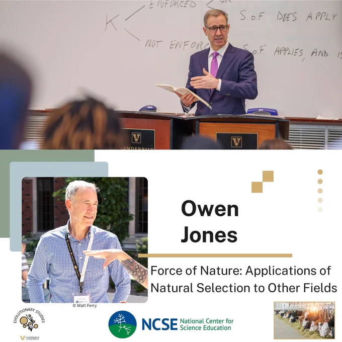 A two-panel composite image. The top panel shows Owen Jones teaching in a Vanderbilt Law School classroom, wearing a blue suit and pink tie, holding a book open while gesturing to students seated in front of him. A whiteboard behind him shows notes including the phrases "S.O.F. Does Apply" and "S.O.F. Applies, And Is." The Vanderbilt logo is visible on the wooden lectern. The bottom panel is a branded graphic featuring two photos of Jones — one outdoors in a blue checked shirt with a conference lanyard, photo credit to Matt Ferry — alongside bold text reading "Owen Jones" and "Force of Nature: Applications of Natural Selection to Other Fields." The ESI Vanderbilt logo and the National Center for Science Education logo appear at the bottom left, with a small image of dairy cows in the lower right corner.
