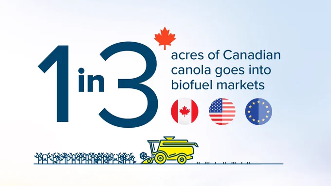 @ccga_ca @SaskOilseeds @AlbertaCanola @canolagrowers @canolacouncil