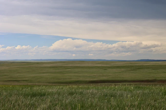 Photo of a field of grass with cloudy blue sky. Oglala National Grasslands.

(Forest Service photo by Charity L. Duggin)
