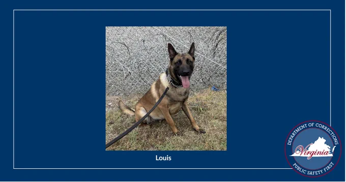 Blue graphic background with Police Dog picture in  the middle, the name Louis under the picture, VADOC logo in the lower right corner