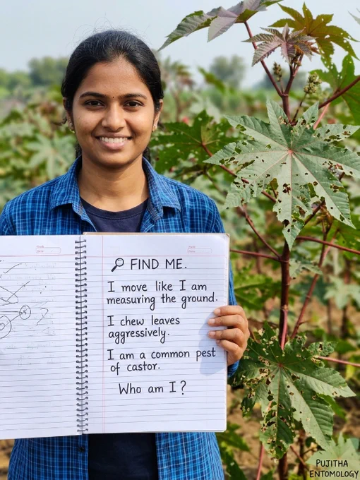 A South Indian agriculture student holding a notebook puzzle with clues describing a leaf-feeding caterpillar pest of castor.