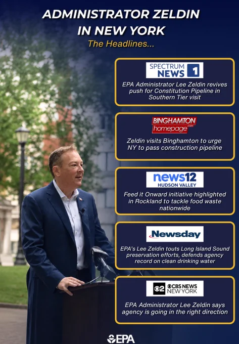LZ News Coverage Graphic