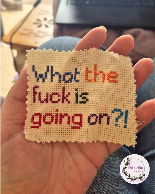 Small multicoloured cross stitch saying 'What the fuck is going on?!'