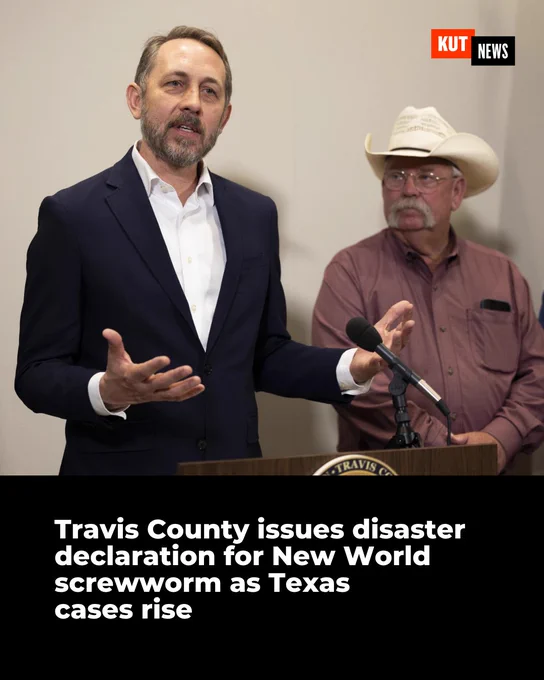 Travis County issues disaster declaration for New World screwworm as Texas cases rise
