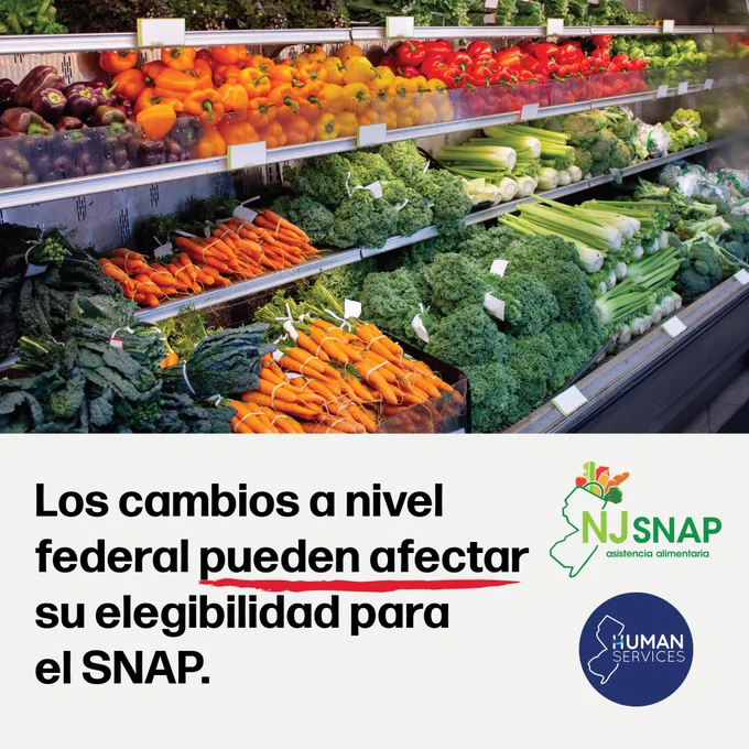 Gráfico del programa SNAP 