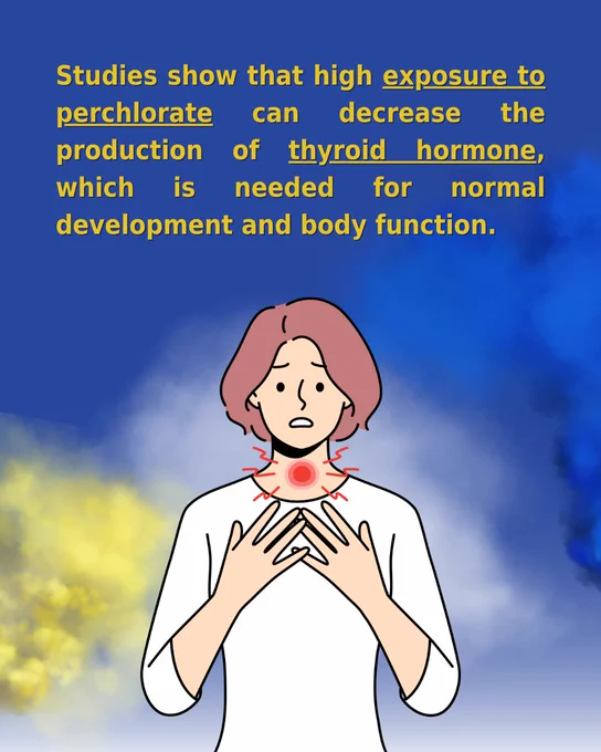 Illustration of a worried person touching their throat with highlighted thyroid area, emphasizing perchlorate exposure reducing thyroid hormone production.