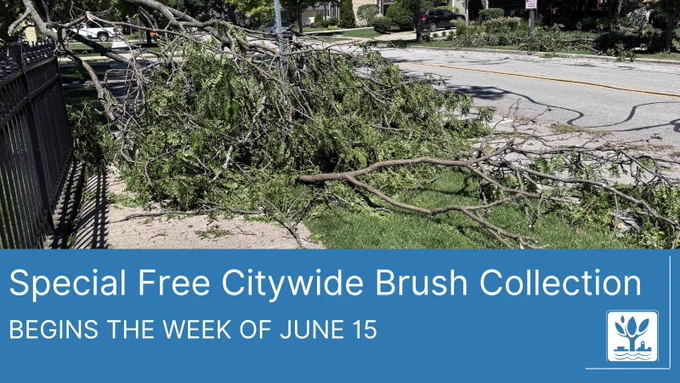 A large tree limb hangs over a fence and sidewalk near downtown Naperville, along with the words "Special Free Citywide Brush Collection Begins the Week of June 15"