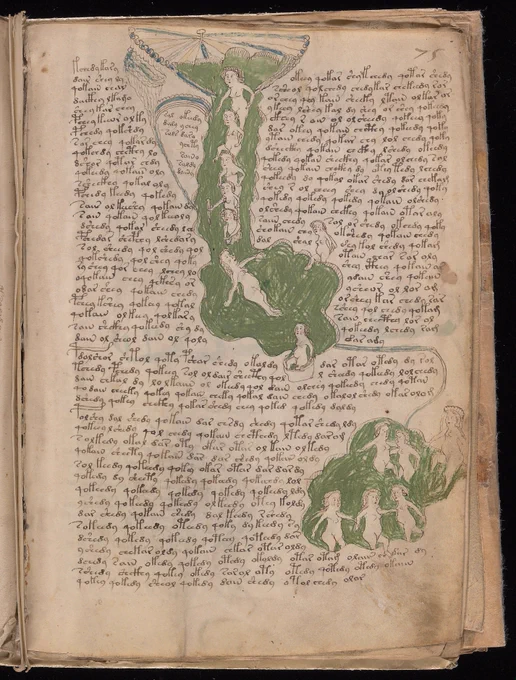 A page of the Voynich manuscript, covered in unknown looping script beside a drawing of an unidentifiable plant.