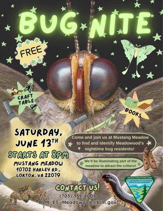 Close-up of a moth's face with large eyes, promoting a free Bug Nite event at Mustang Meadow on June 13th at 8 PM to identify nighttime bugs.