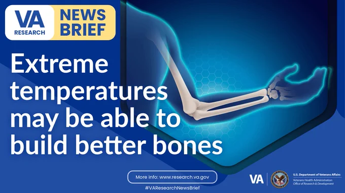 Extreme temperatures may be able to build better bones

