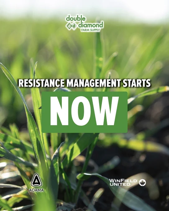 Close-up of green plants in a field with a message in large text: "Resistance Management Starts Now." Logos for Double Diamond Farm Supply, ADAMA, and WinField United are present.