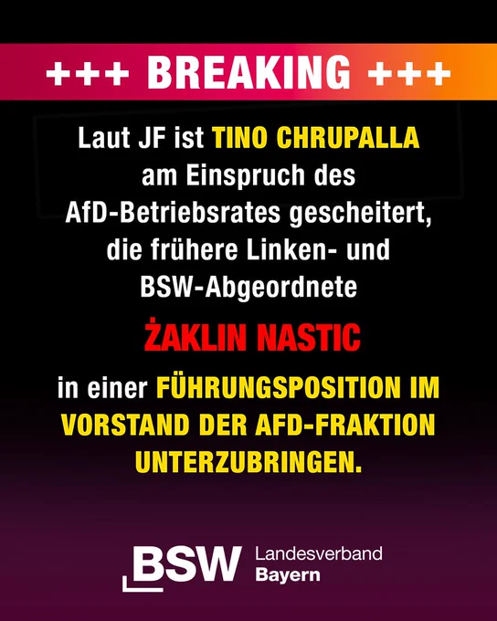 https://jungefreiheit.de/politik/deutschland/2026/ex-linken-abgeordnete-nastic-sollte-afd-bundestagsfraktion-beraten/