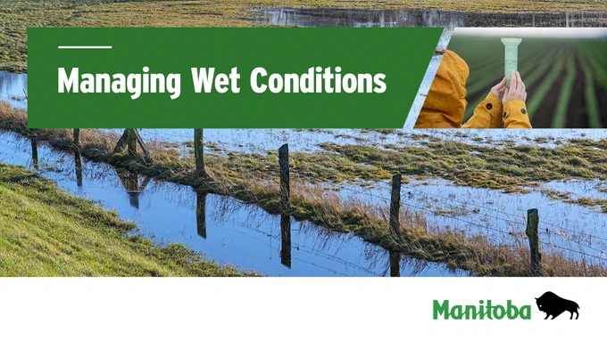 Flooded field and woman holding a full rain gauge. Caption: Managing Wet Conditions.
