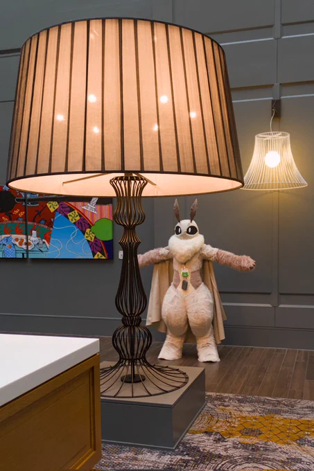 photo of a moth fursuiter standing behind a giant lamp

photographer: @sidewalkfox
