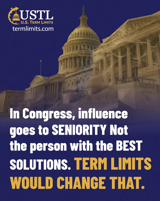 Image of the U.S. Capitol building with a quote: "In Congress, influence goes to SENIORITY Not the person with the BEST SOLUTIONS. TERM LIMITS WOULD CHANGE THAT." The top left corner shows the U.S. Term Limits logo and website, termlimits.com.
