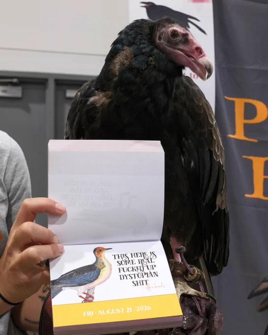 A turkey vulture beside an Effin’ Birds calendar.