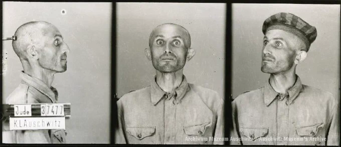 A mugshot registration photograph from Auschwitz. A man with a shaved head wearing a striped uniform photographed in three positions (profile and front with bare head and a photo with a slightly turned head with a hat on). The prisoner number is visible on a marking board on the left.
