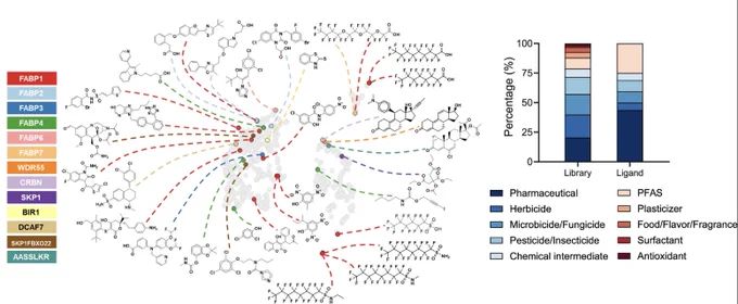 Left: Chemical space of the 1,106 compounds clustered based on their molecular fingerprints and visualized using uniform manifold approximation and projection. Detected ligands are highlighted in different colors according to their target proteins, with chemical structures labeled on the plot. Right: Comparison of the top 10 compound categories in the 481-compound library and ligand categories showing protein interactions in the affinity selection–mass spectrometry screening.