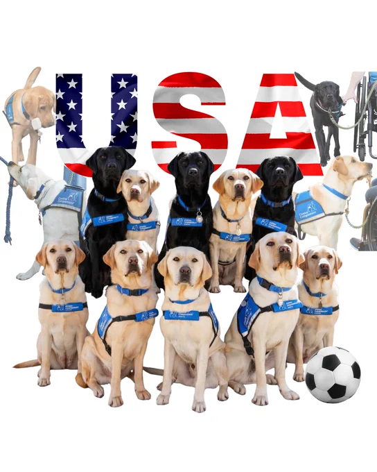 A group of service dogs wearing blue Canine Companions vests gathered in front of large letters spelling "USA" with an American flag design. A soccer ball is next to them.