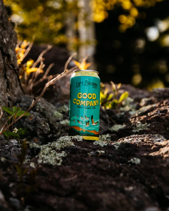 A can of Lift Bridge Good Company West Coast IPA sits on a rock in a forest, surrounded by greenery and soft evening light.