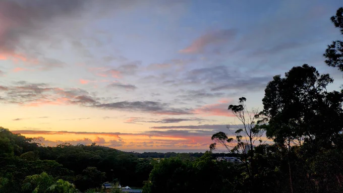 A sky at sunrise washed in gold and orange above the ocean horizon. Some light branches of a eucalyptus tree in the right foreground and streaky clouds above.
