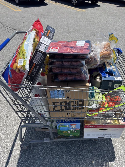 Cart of groceries from sams