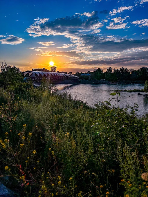 Sunset view of Peace Bridge walking and cycling bridge over the Bow River in Calgary.