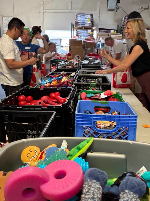Fox 31 Denver volunteers pack pet comfort kits for dogs