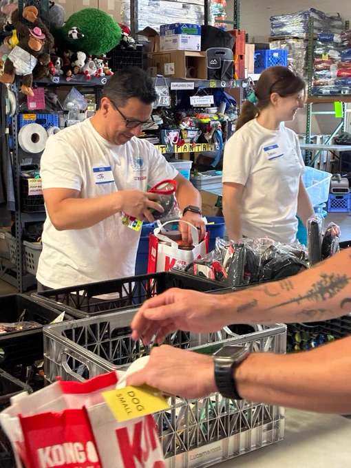 Fox 31 Denver volunteers pack pet comfort kits for dogs
