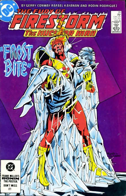 The Fury of Firestorm 20