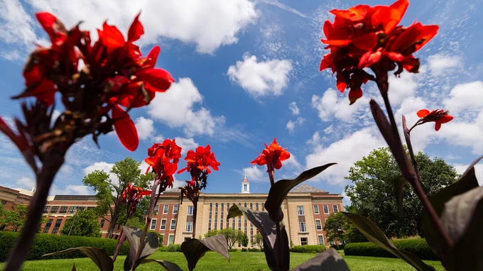 Red calla flowers frame Love Library South beneath a partly cloudy sky. (Liz McCue/University Communication and Marketing)