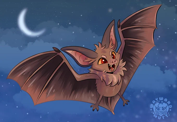 A little brown bat with its wings spread in the night sky.