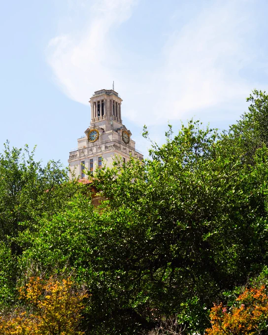UT Tower among trees.