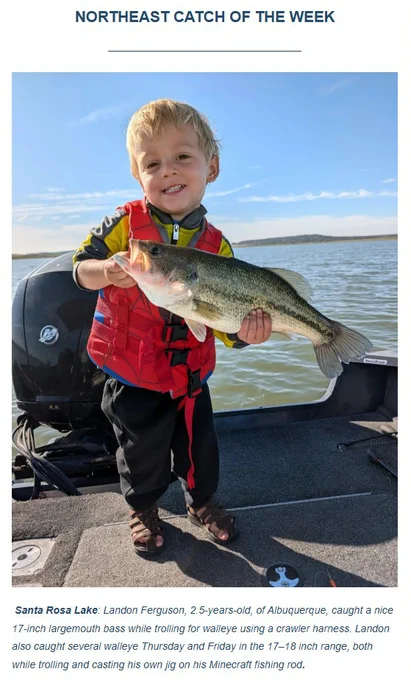  Santa Rosa Lake: Landon Ferguson, 2.5-years-old, of Albuquerque, caught a nice 17-inch largemouth bass while trolling for walleye using a crawler harness. Landon also caught several walleye Thursday and Friday in the 17–18 inch range, both while trolling and casting his own jig on his Minecraft fishing rod. Image is of Ferguson holding one of the fish he caught. He is standing on a boat with the lake in the background.