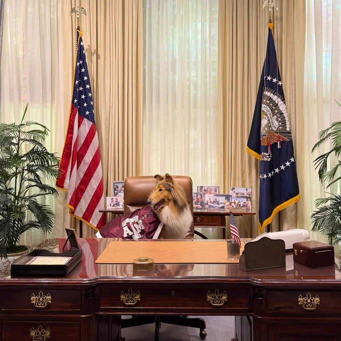 A dog sits at a large wooden desk in a room resembling the Oval Office. The desk has a plaque, paperweights, and a small American flag. Behind the dog are the U.S. flag and the presidential flag. Family photos decorate the desk, and the windows are covered by beige curtains. The dog holds a Texas A&M flag in its mouth.