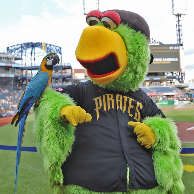 A real parrot perches on the arm of the Pirate Parrot at PNC Park. He wears a Pirates City Connect jersey with gold lettering.