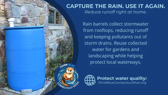 Graphic showing a blue rain barrel connected to a home's downspout. Text reads: “CAPTURE THE RAIN. USE IT AGAIN.” The graphic explains that rain barrels collect stormwater from rooftops, reduce runoff, and provide water for gardens and landscaping while helping protect local waterways. The Think Blue Connecticut River logo and website are included.
