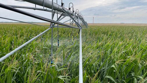 Irrigation system spraying water over a green cornfield under a cloudy sky.