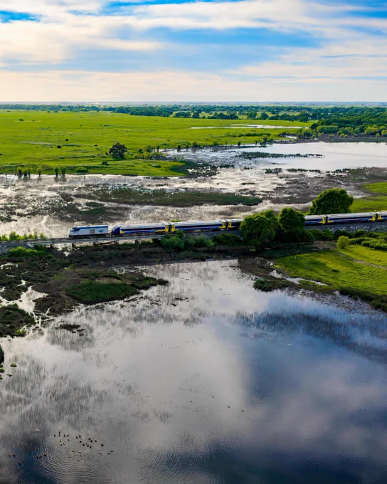 Amtrak\u2019s Gold Runner train crosses a bridge through wide wetlands and reflective water, with bright green fields and a blue, cloud-streaked sky in the distance.
