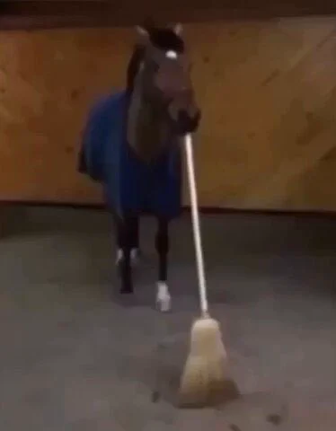 horse no back legs and a broom