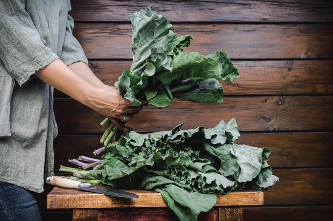 Woman holding freshly harvested collard greens from the garden