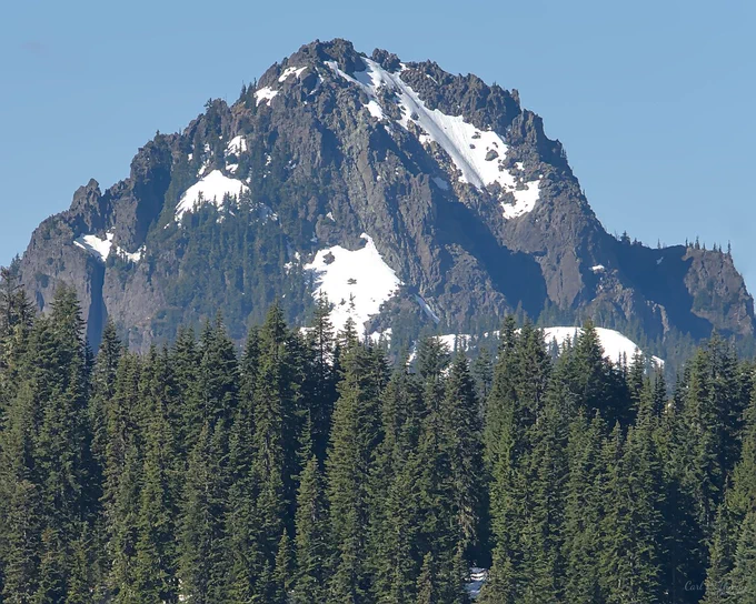 A telephoto view of a rugged rocky mountain peak rising above a dense foreground of evergreen trees under a clear blue sky. The summit is dark and jagged, with scattered patches of white snow clinging to gullies and ledges. The lower slopes show a mix of exposed rock, snowfields, and small bands of trees, while the evergreen forest across the bottom of the image adds depth and scale. The strong contrast between the rough rock, bright snow, and deep green trees gives the landscape a crisp mountain character. It makes me feel calm, grounded, and drawn into the quiet strength of the scene.