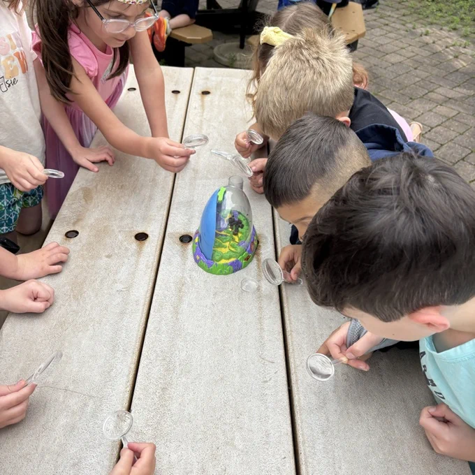 kindergarten students looking at ladybugs on a picnic table