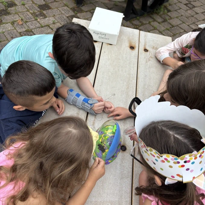 kindergarten students using magnifying glasses to look at ladybugs