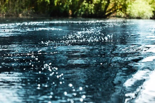 A serene river scene with sunlight glinting off the water's surface, surrounded by lush greenery in the background.